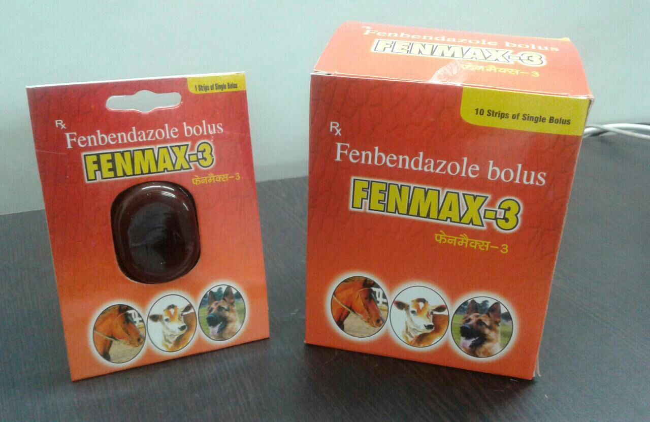 FENMAX BOLUS